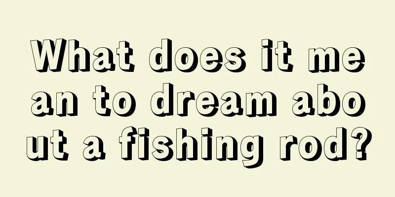 What does it mean to dream about a fishing rod?