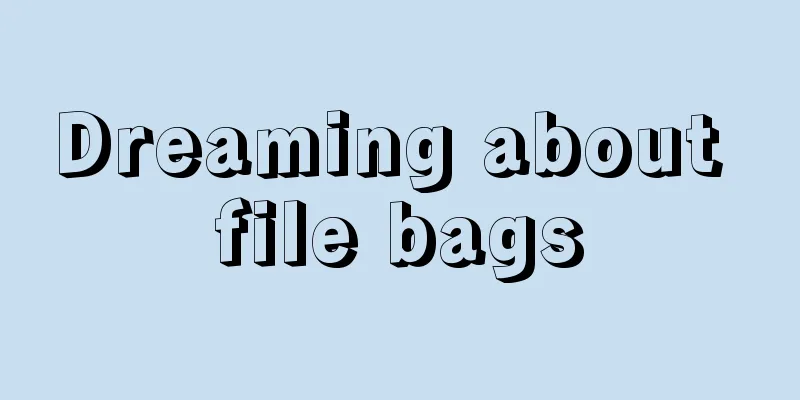 Dreaming about file bags