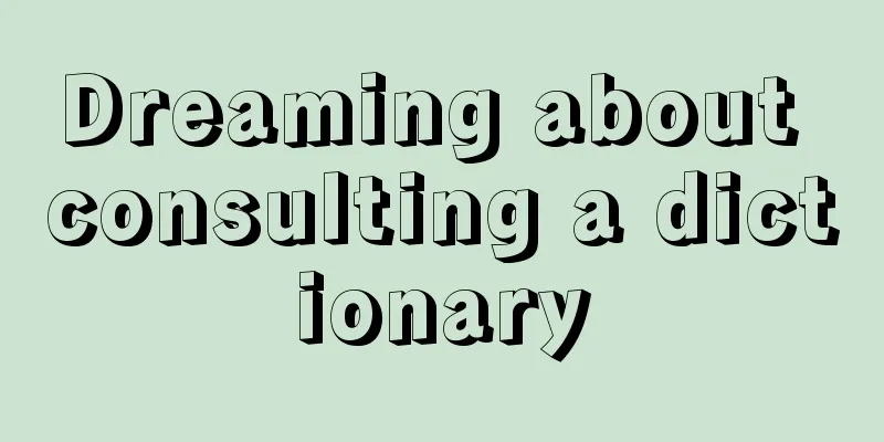 Dreaming about consulting a dictionary