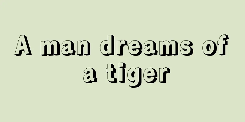 A man dreams of a tiger