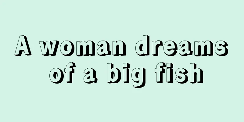 A woman dreams of a big fish