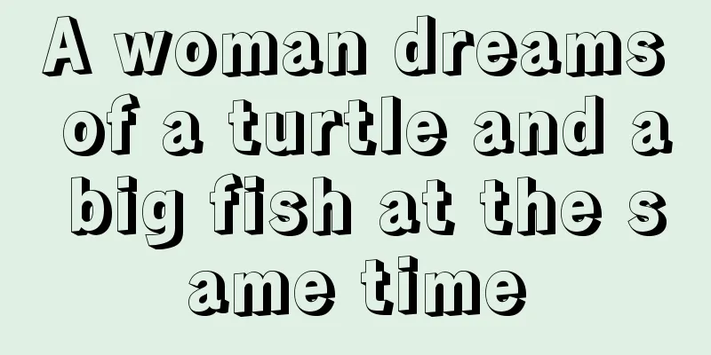 A woman dreams of a turtle and a big fish at the same time