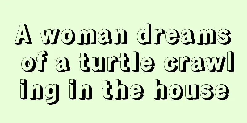 A woman dreams of a turtle crawling in the house