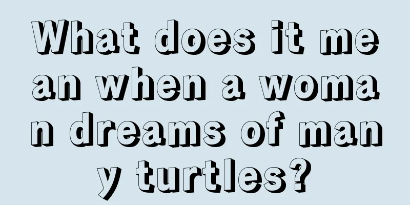 What does it mean when a woman dreams of many turtles?