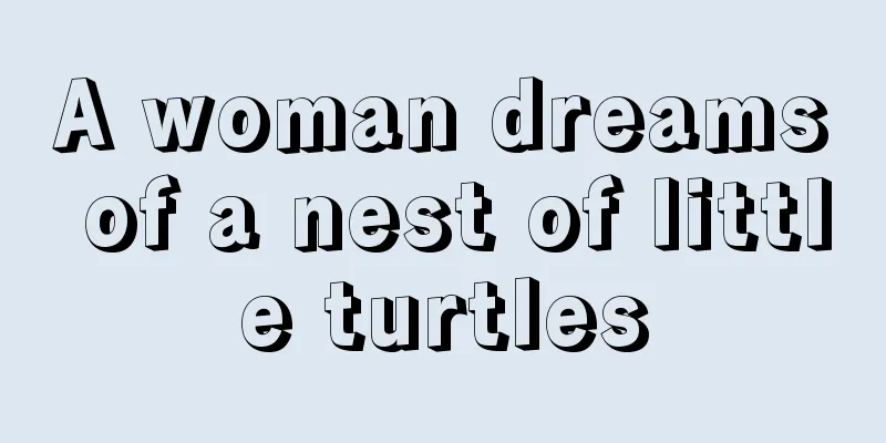 A woman dreams of a nest of little turtles