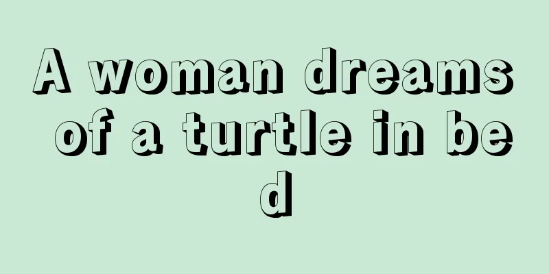 A woman dreams of a turtle in bed