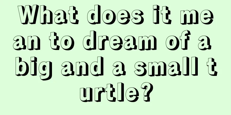 What does it mean to dream of a big and a small turtle?