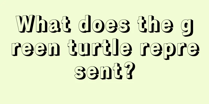 What does the green turtle represent?