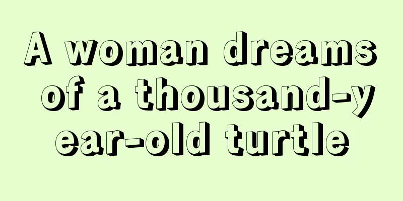 A woman dreams of a thousand-year-old turtle