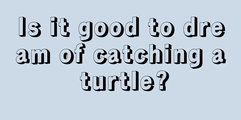 Is it good to dream of catching a turtle?