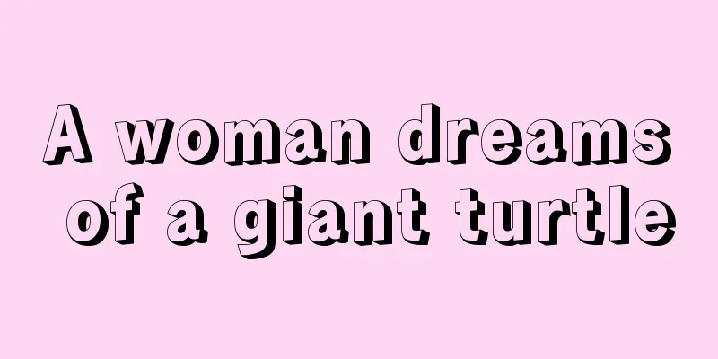 A woman dreams of a giant turtle