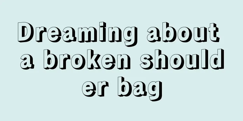 Dreaming about a broken shoulder bag