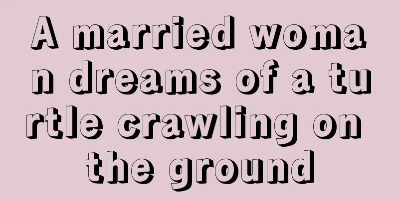 A married woman dreams of a turtle crawling on the ground