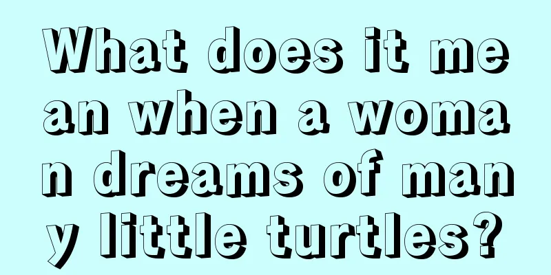 What does it mean when a woman dreams of many little turtles?