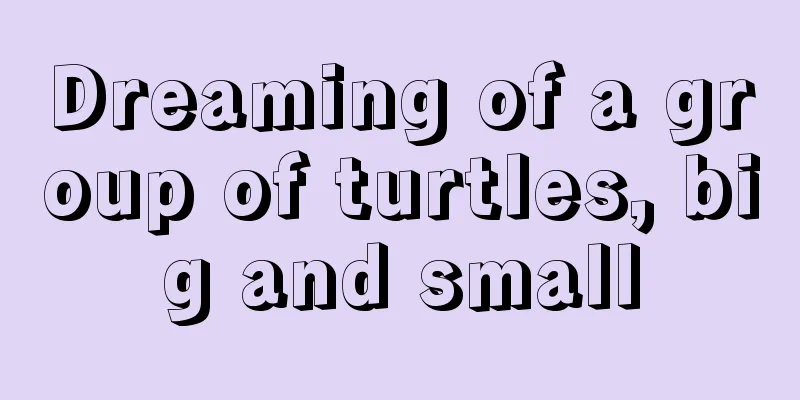 Dreaming of a group of turtles, big and small