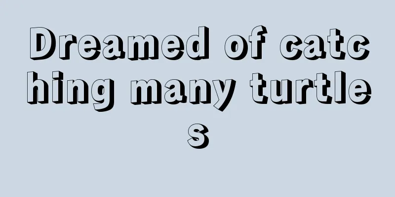 Dreamed of catching many turtles