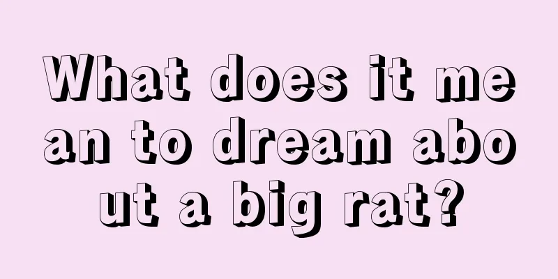 What does it mean to dream about a big rat?