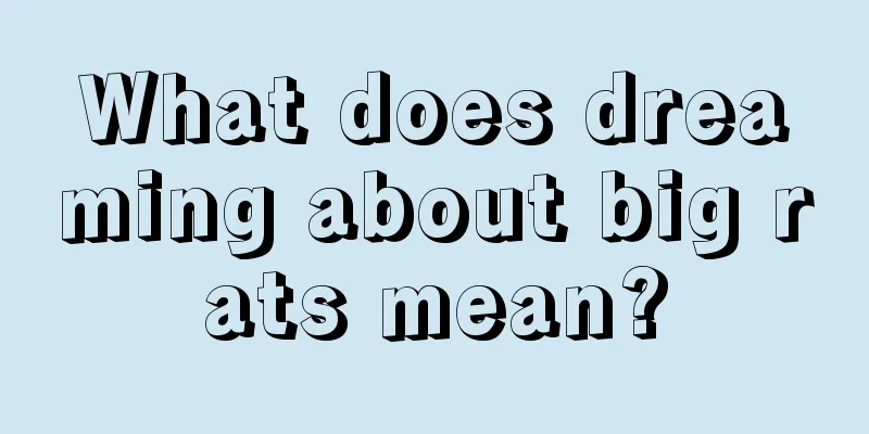 What does dreaming about big rats mean?