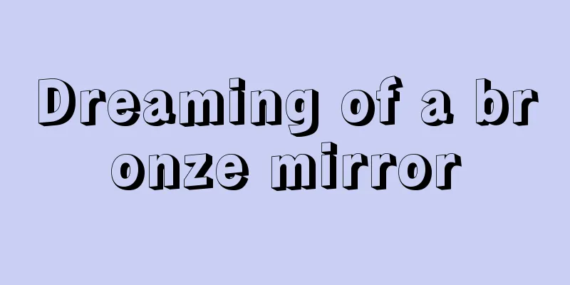 Dreaming of a bronze mirror