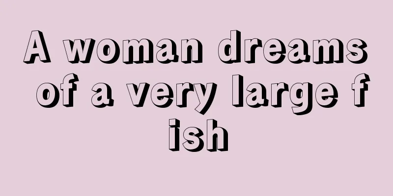 A woman dreams of a very large fish