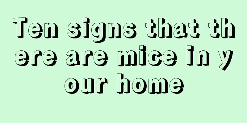 Ten signs that there are mice in your home