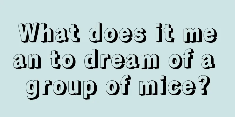 What does it mean to dream of a group of mice?