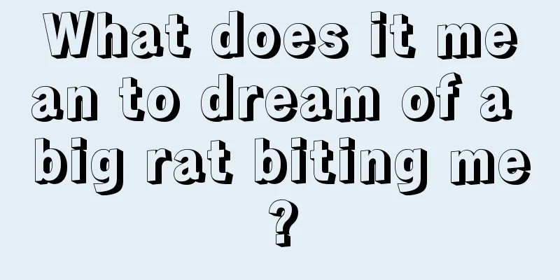 What does it mean to dream of a big rat biting me?