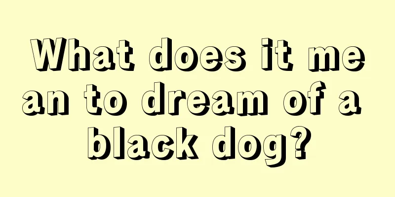 What does it mean to dream of a black dog?