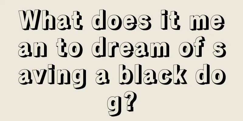 What does it mean to dream of saving a black dog?