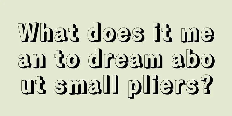 What does it mean to dream about small pliers?