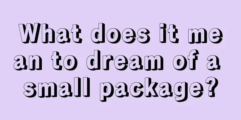 What does it mean to dream of a small package?