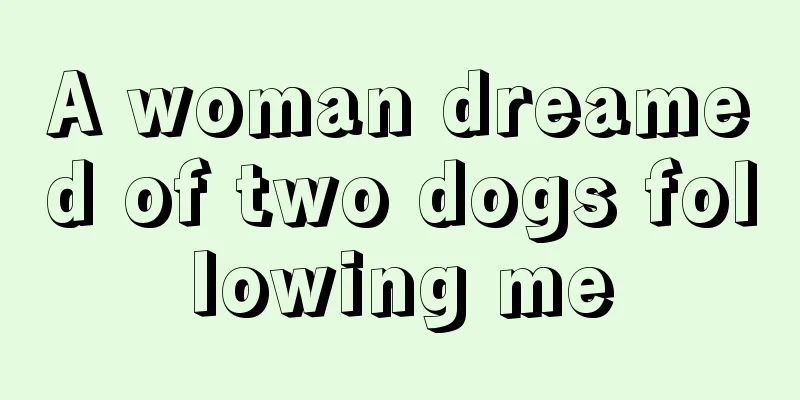 A woman dreamed of two dogs following me