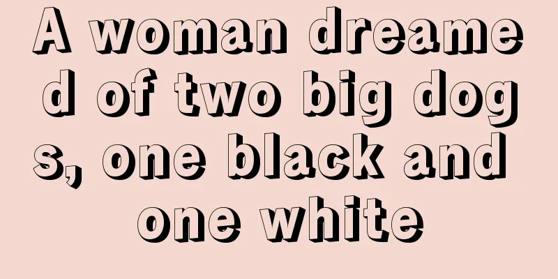 A woman dreamed of two big dogs, one black and one white