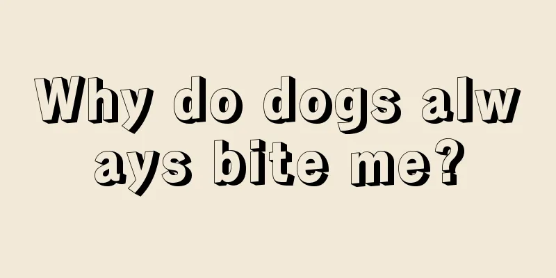 Why do dogs always bite me?