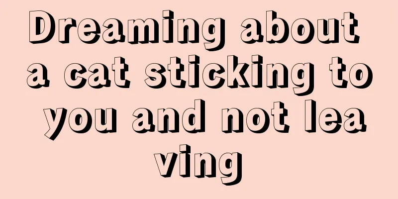 Dreaming about a cat sticking to you and not leaving