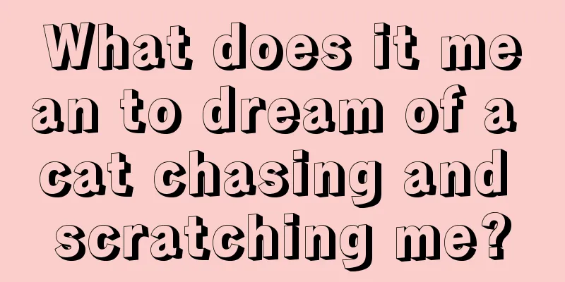 What does it mean to dream of a cat chasing and scratching me?