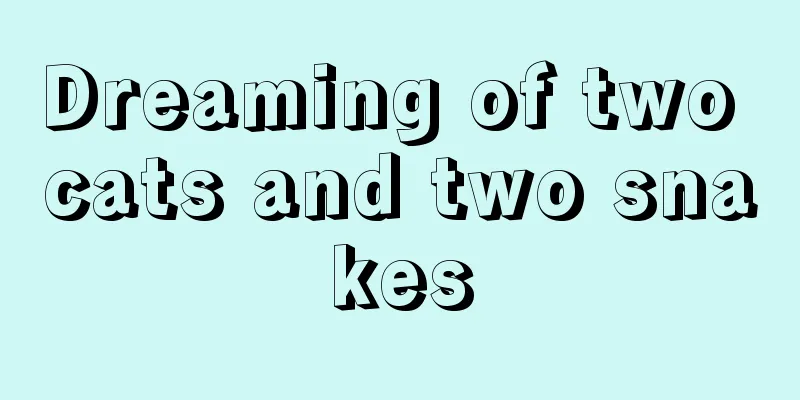 Dreaming of two cats and two snakes