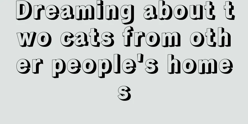 Dreaming about two cats from other people's homes