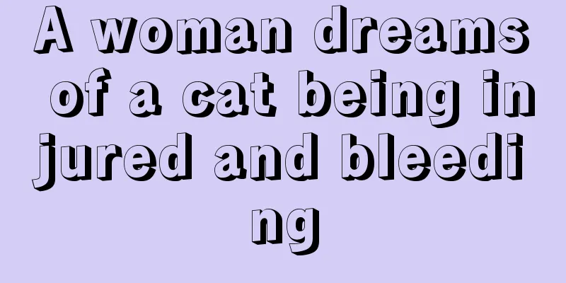 A woman dreams of a cat being injured and bleeding