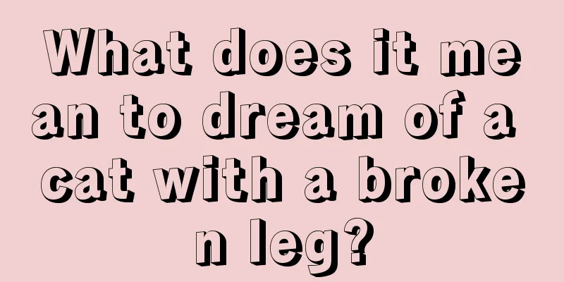 What does it mean to dream of a cat with a broken leg?