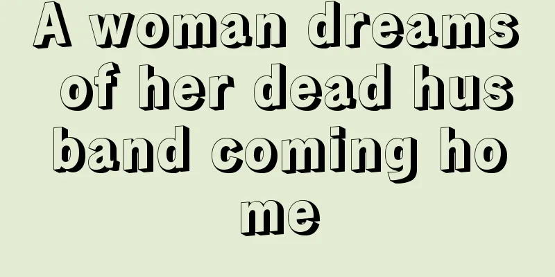 A woman dreams of her dead husband coming home