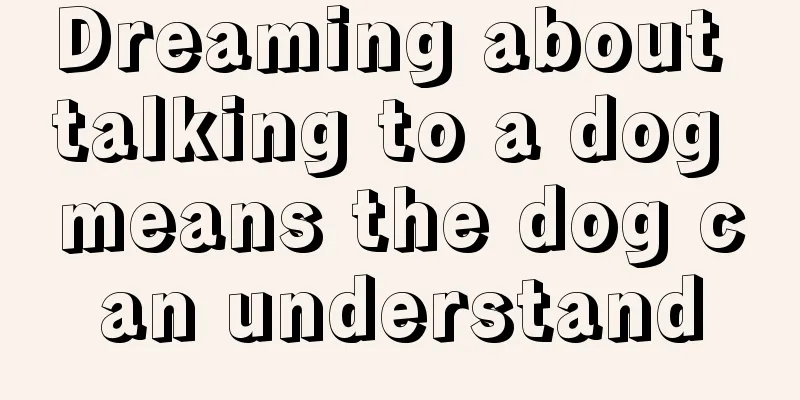 Dreaming about talking to a dog means the dog can understand