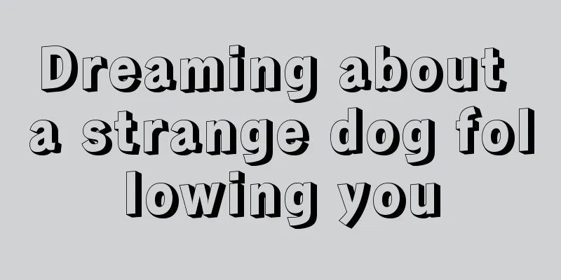 Dreaming about a strange dog following you