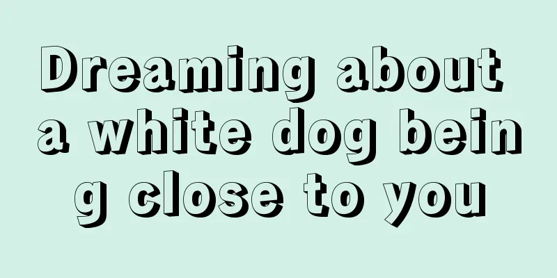 Dreaming about a white dog being close to you