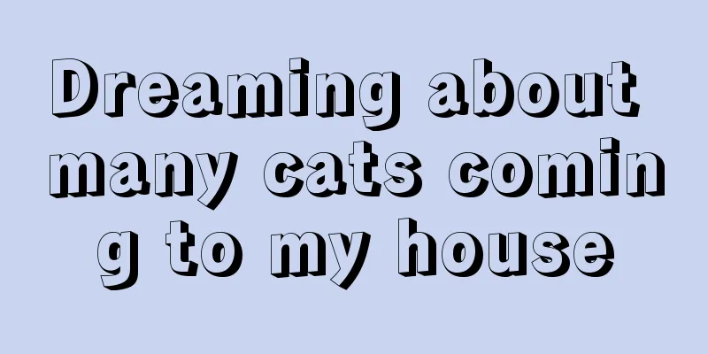 Dreaming about many cats coming to my house