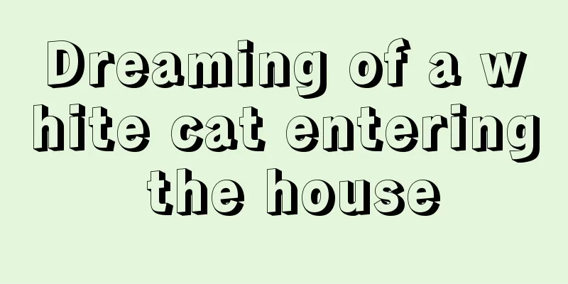 Dreaming of a white cat entering the house