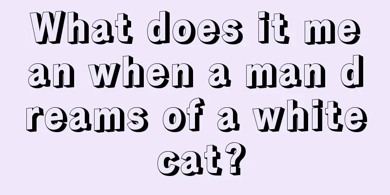 What does it mean when a man dreams of a white cat?