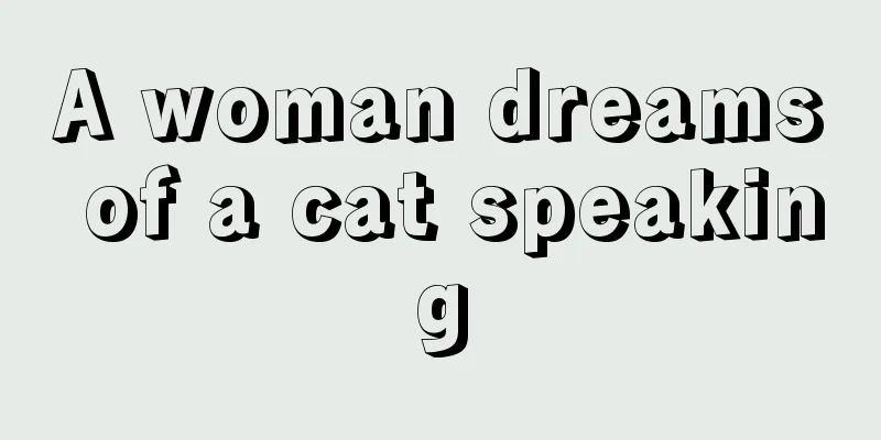 A woman dreams of a cat speaking