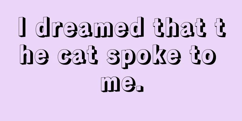 I dreamed that the cat spoke to me.