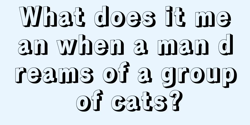 What does it mean when a man dreams of a group of cats?